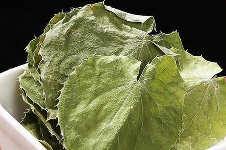 中药仙灵脾整叶图 中药仙灵脾整叶图