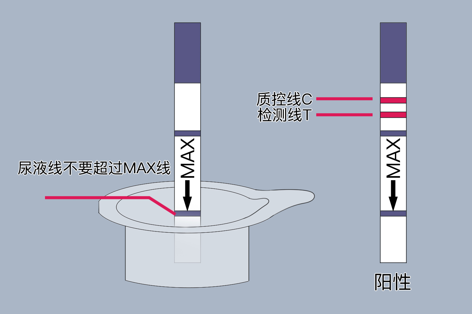 早孕试纸CT区分方法图