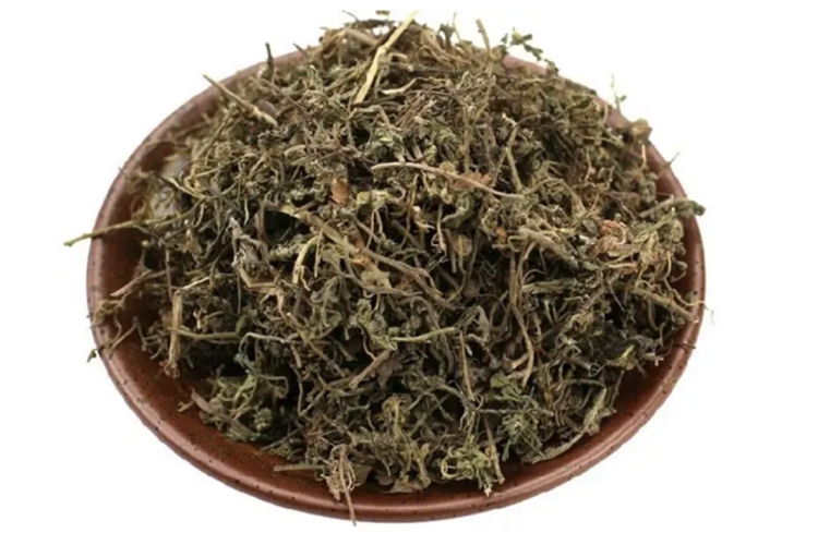 中药地胡椒草图 中药地胡椒草图