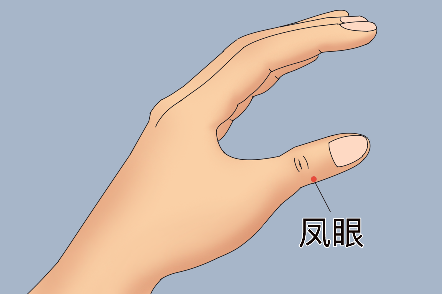 凤眼穴位置图 凤眼穴位置图