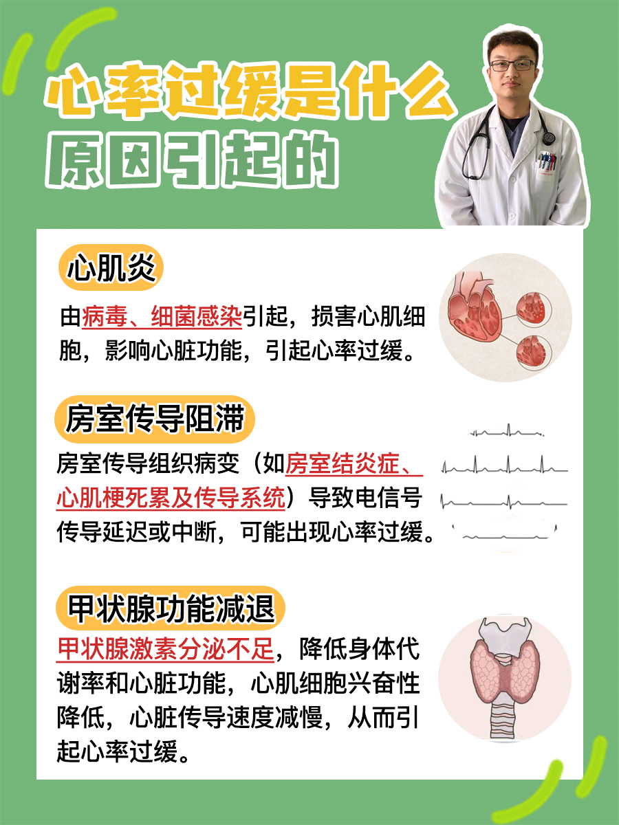 医生揭晓，心率过缓什么原因，怎么治疗