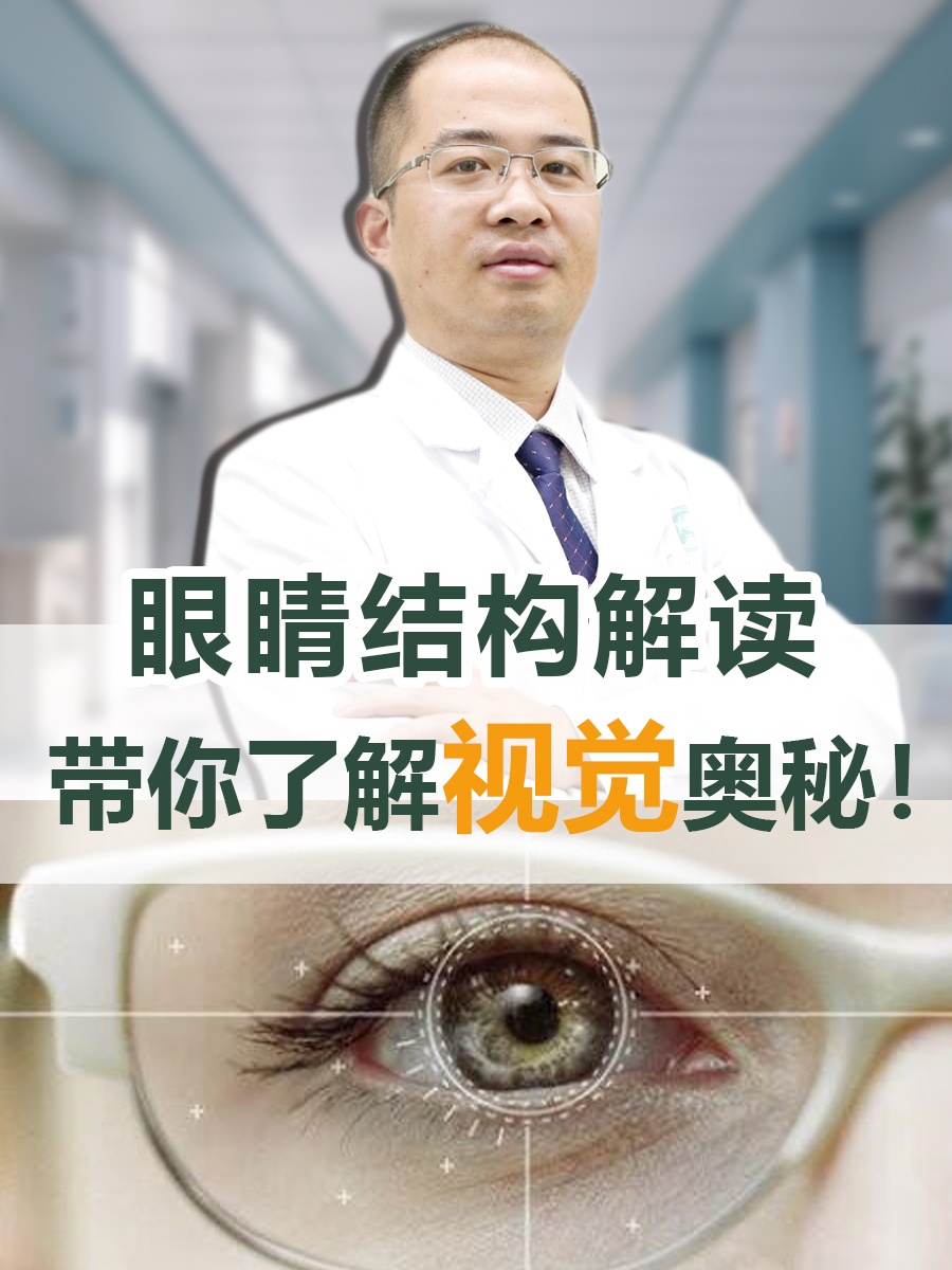 眼睛结构解读，带你了解视觉奥秘！