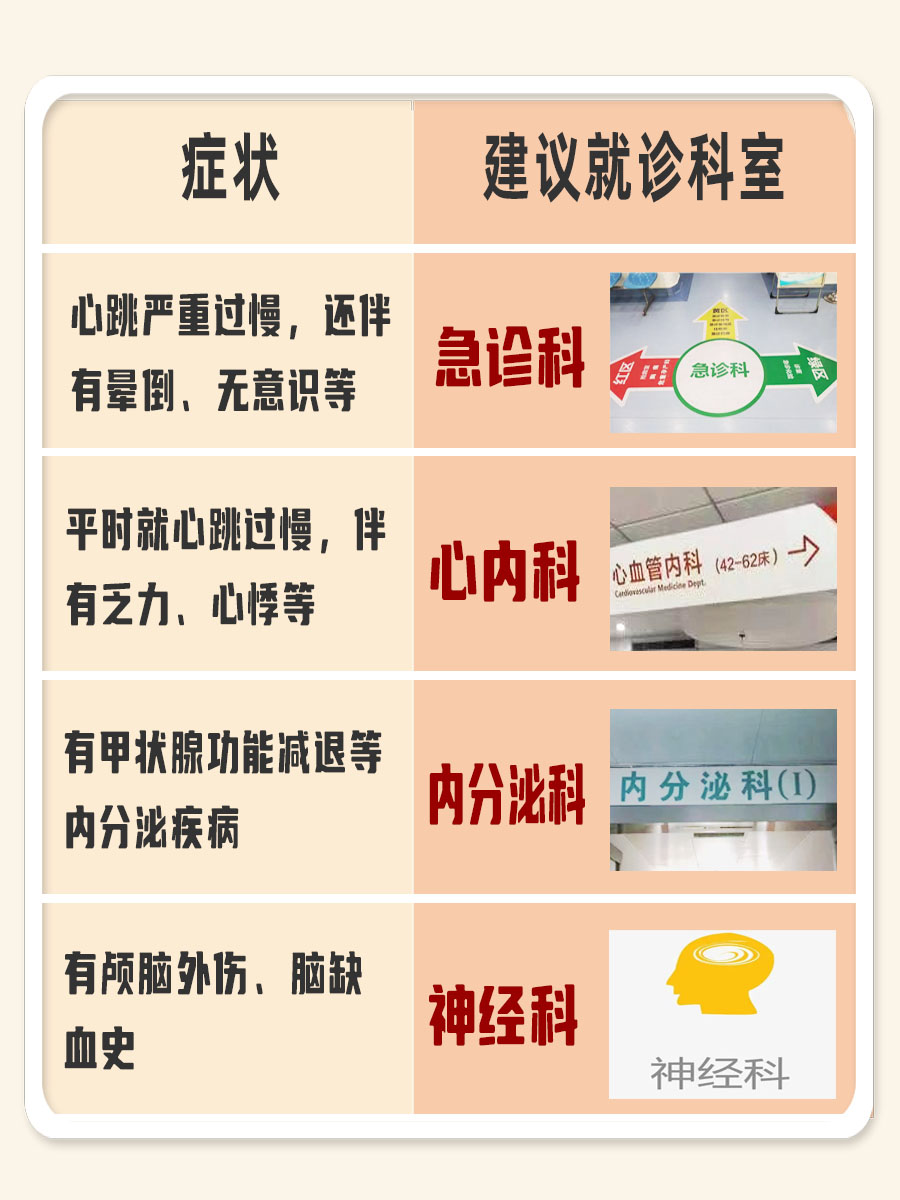 心跳慢挂哪个科？一文带你了解