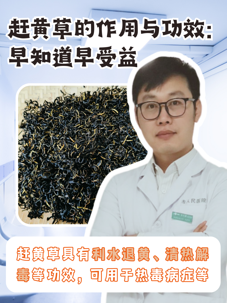 赶黄草的作用与功效:早知道早受益