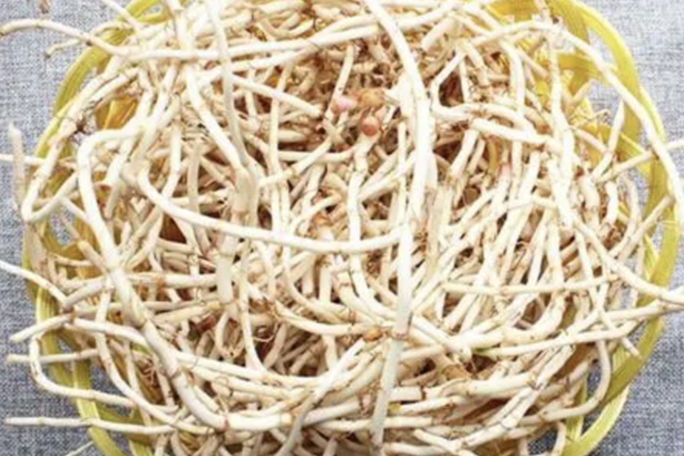 鱼腥草药材外观图