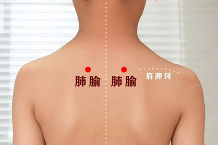 推拿肺俞穴图