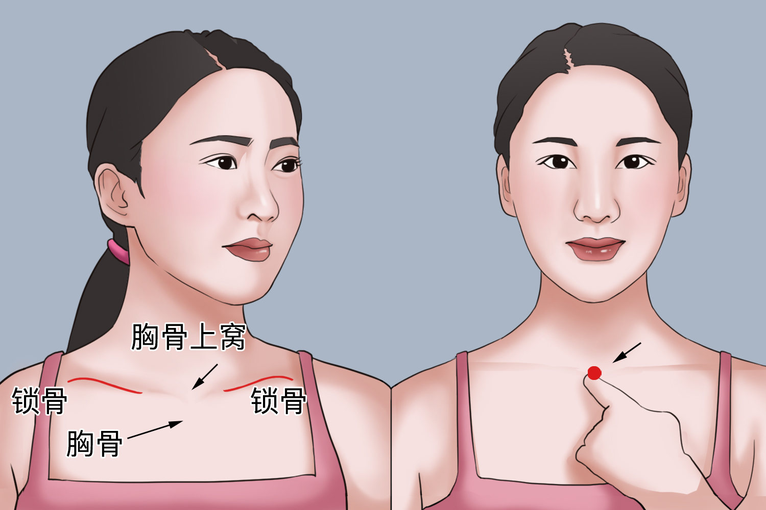 胸骨上窝位置图