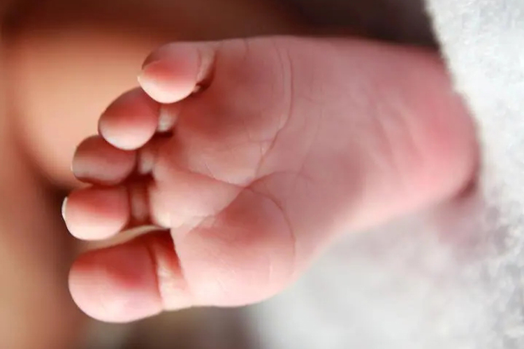 宝宝脚底粉白色图 宝宝脚底粉白色图
