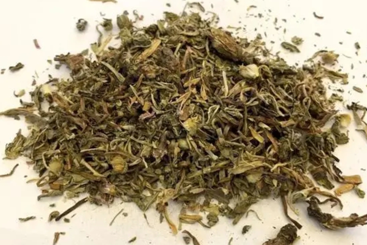 野生败酱草药材图