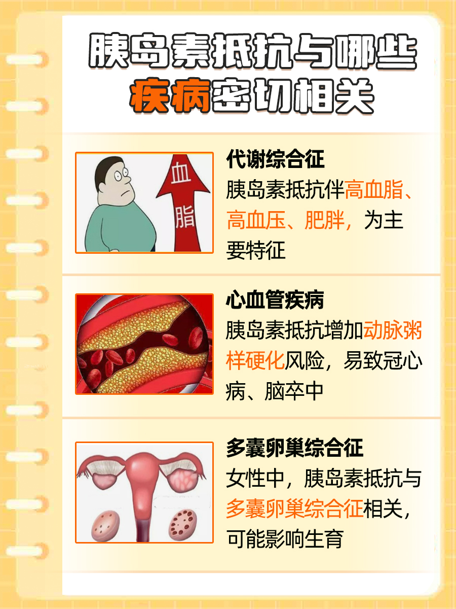 揭秘，胰岛素抵抗多久发展成糖尿病？