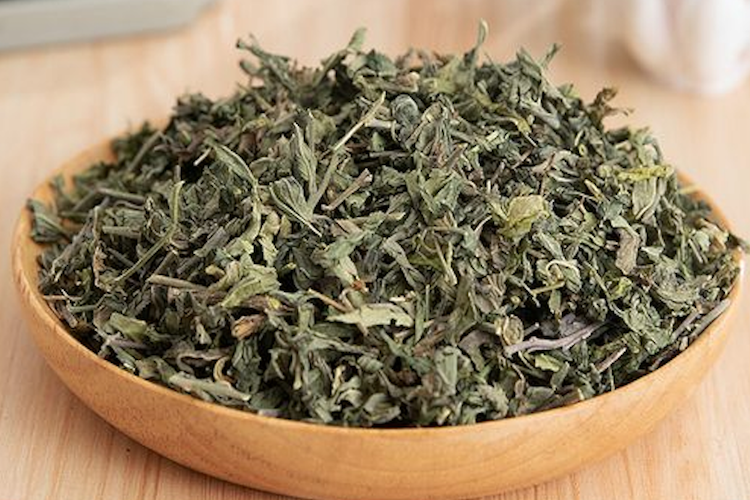 中药透骨草图 中药透骨草图