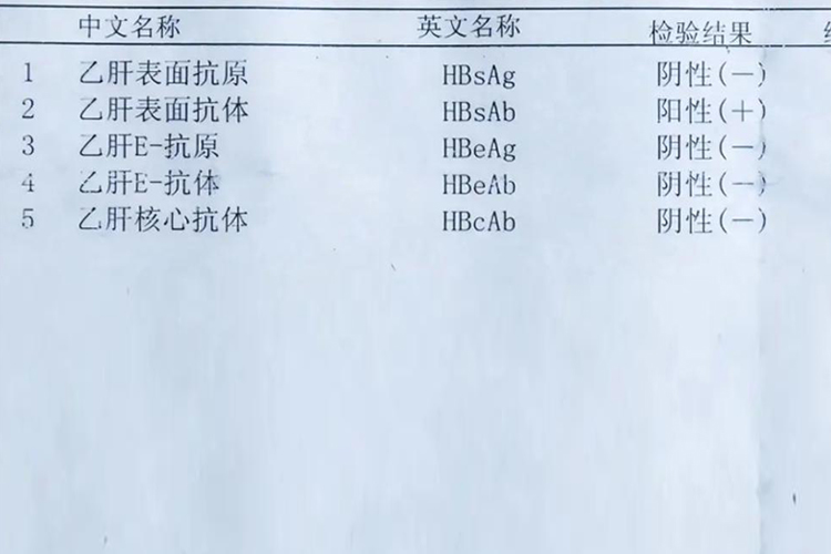 乙肝五项正常图