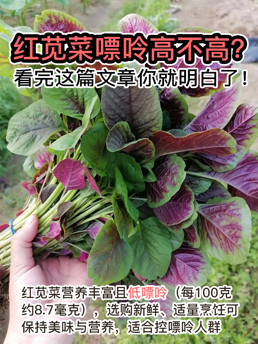 红苋菜嘌呤高不高?看完这篇文章你就明白了!
