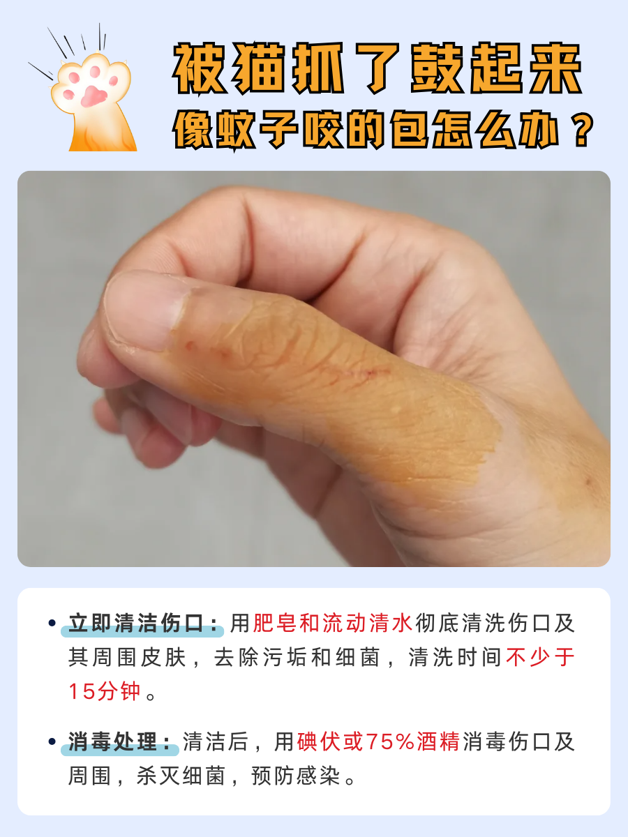 被猫抓伤，皮肤为何出现‘蚊子包’奇观？