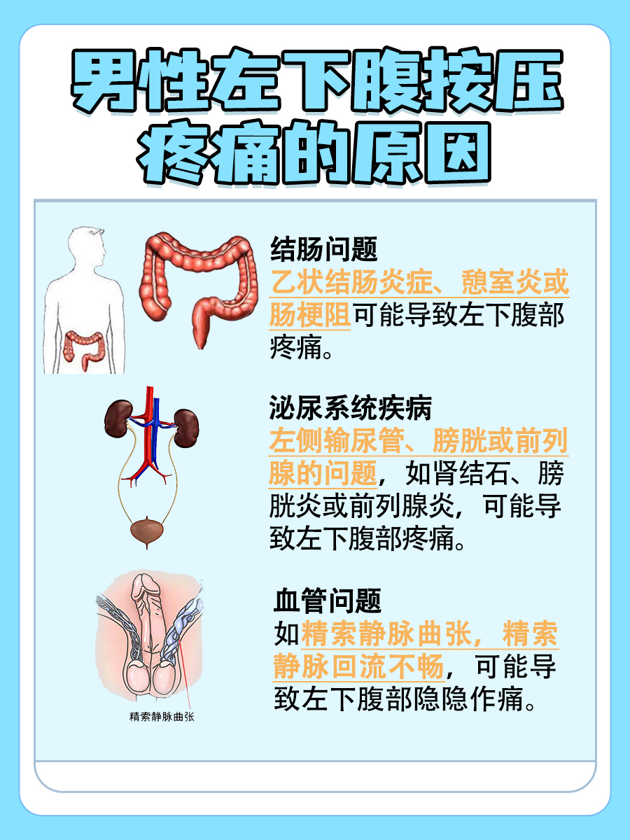 男性左下腹按压疼痛:可能原因
