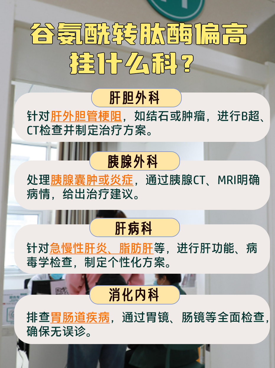 谷氨酰转肽酶升高?该去哪个科室瞧瞧?