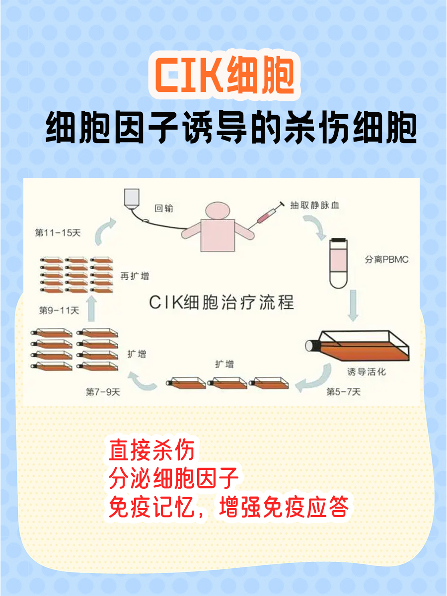 CIK细胞疗法：未来癌症治疗的新希望