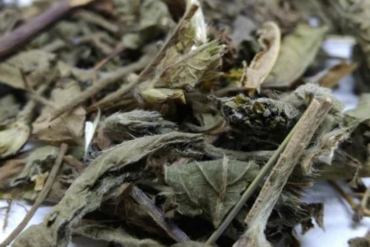苦地胆草药图片_有来医生