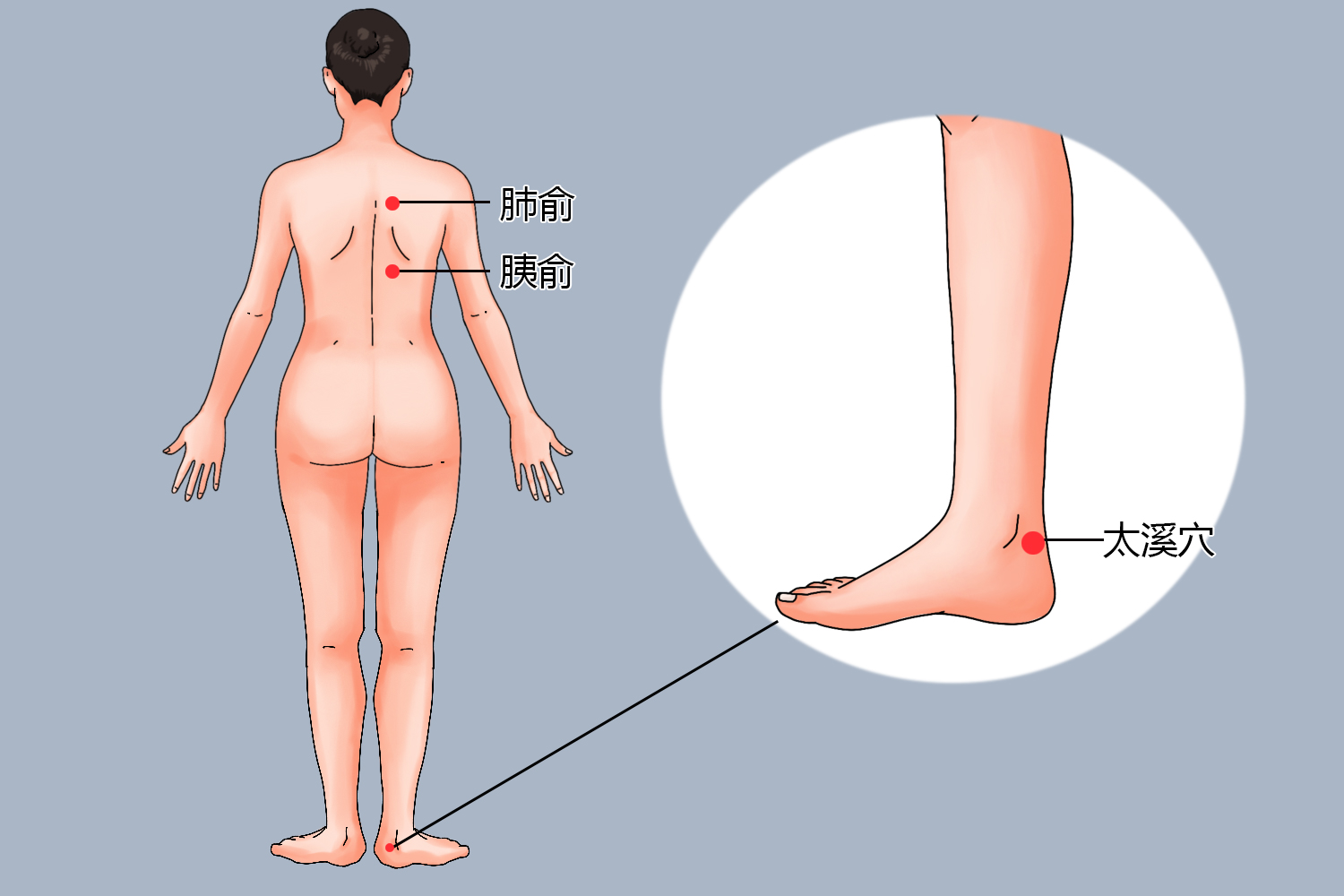 肺俞、胰俞、太溪位置图