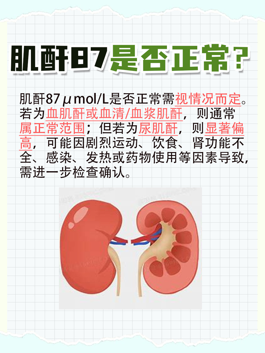 肌酐87正常吗？一文搞清！