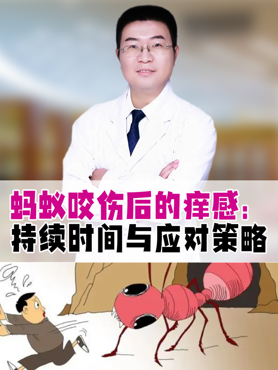 蚂蚁咬伤后的痒感：持续时间与应对策略