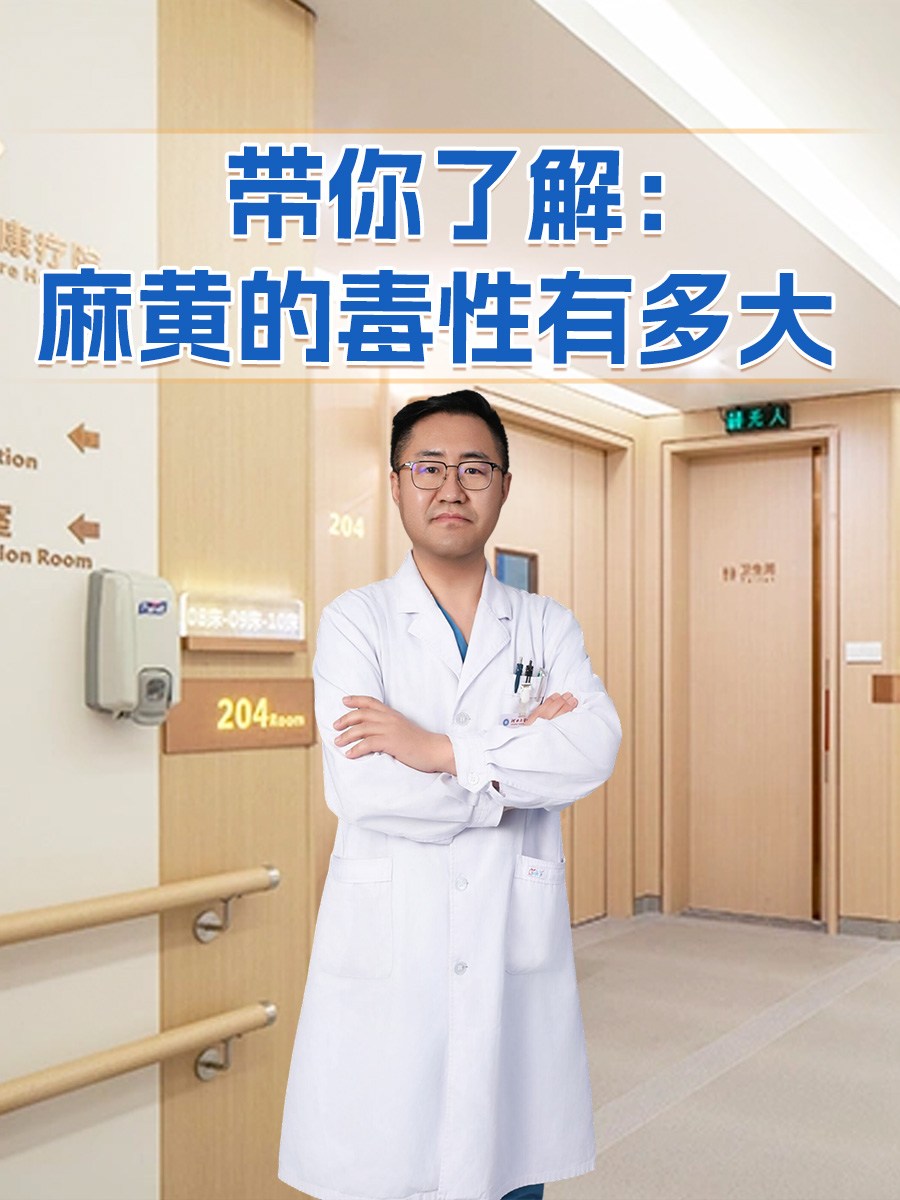 麻黄的毒性有多大 ？一文揭秘