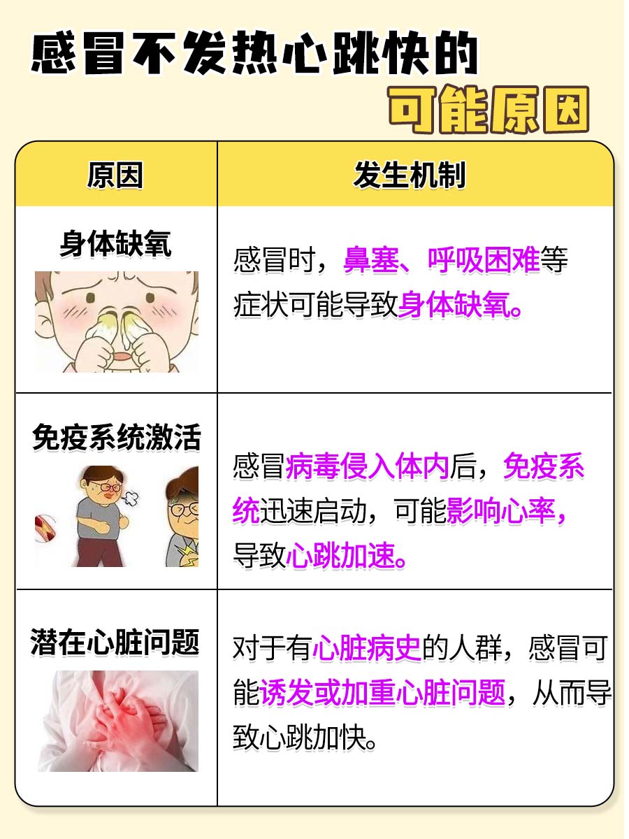 感冒不发热，心跳却加速？揭秘背后原因