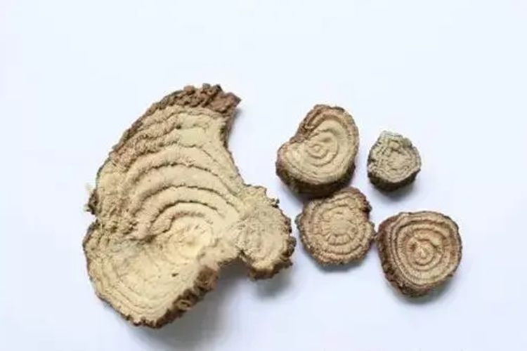 商陆成药图