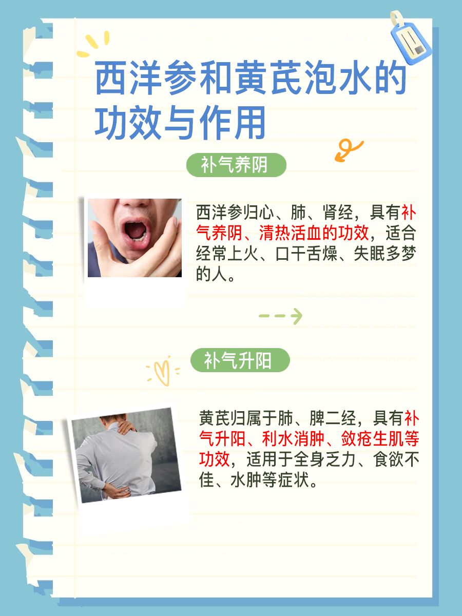 西洋参和黄芪泡水,正确方法速速GET