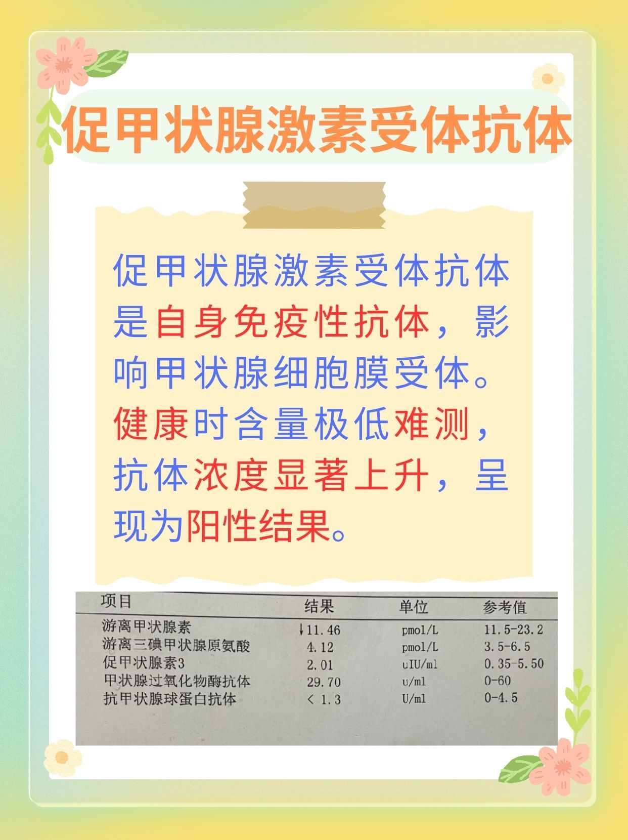 带你了解:促甲状腺激素受体抗体