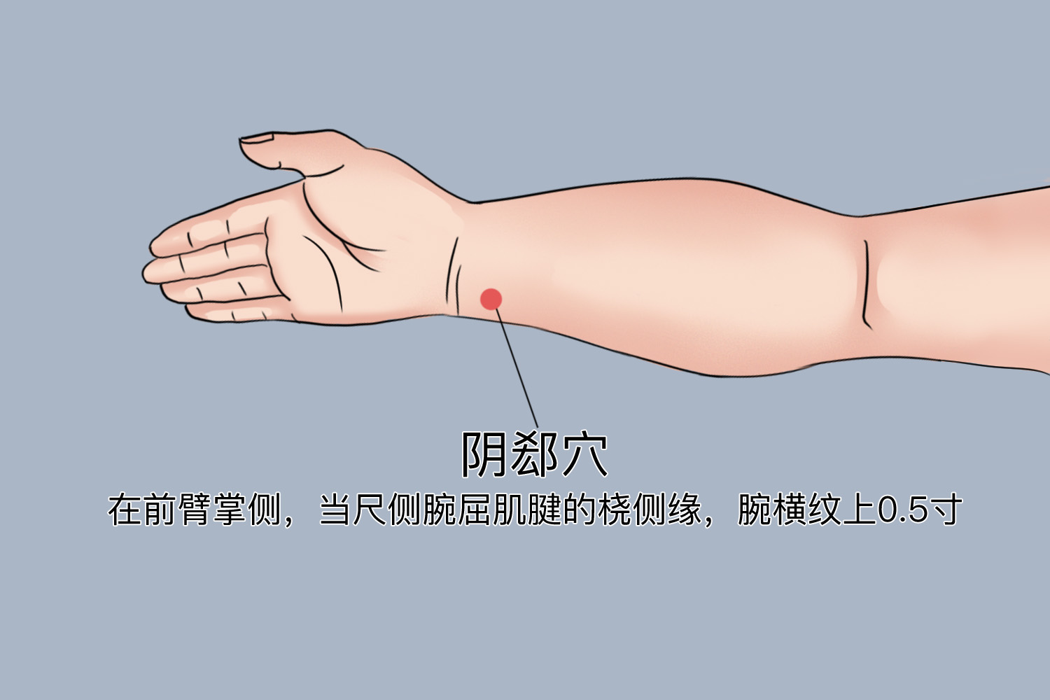 阴郄穴位置图 阴郄穴位置图