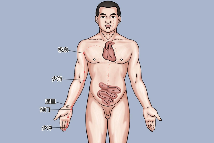 手太阴肺经经脉循行图 手太阴肺经经脉循行图