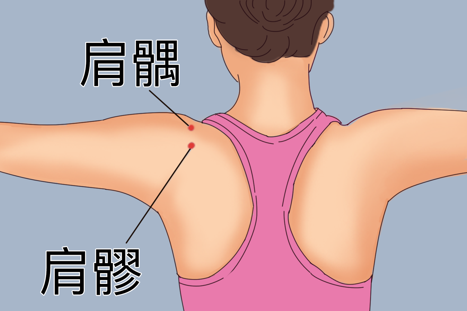肩髎和肩髃位置图
