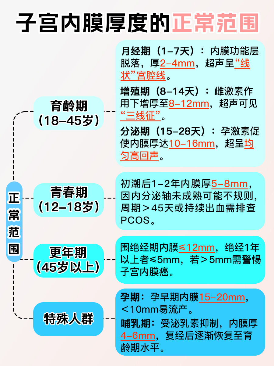 子宫内膜多厚算正常？关键数值要记牢！