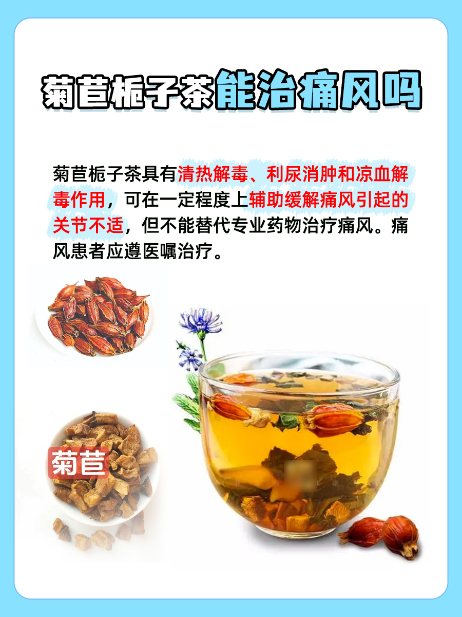 菊苣栀子茶功效：能否有效治疗痛风