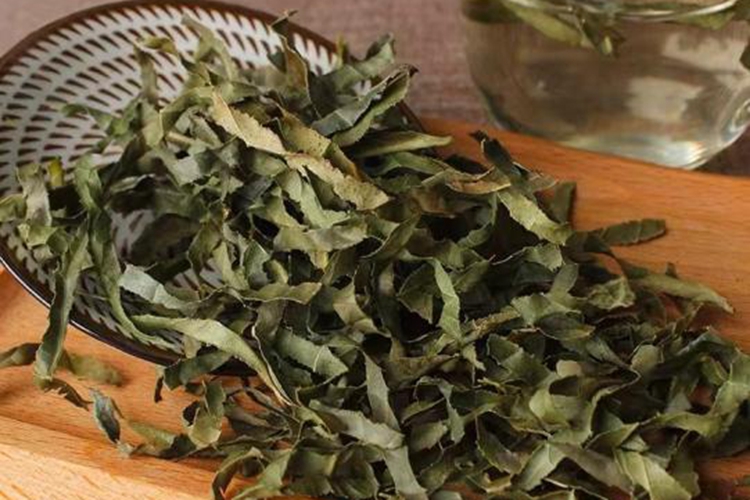 牛尿草草药图 牛尿草草药图