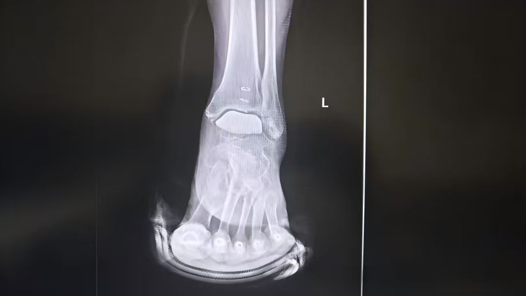 222111.jpg