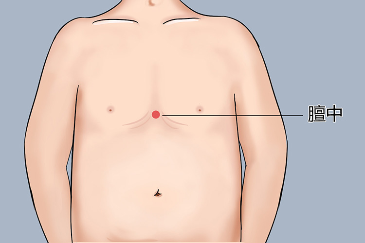 膻中穴位置图