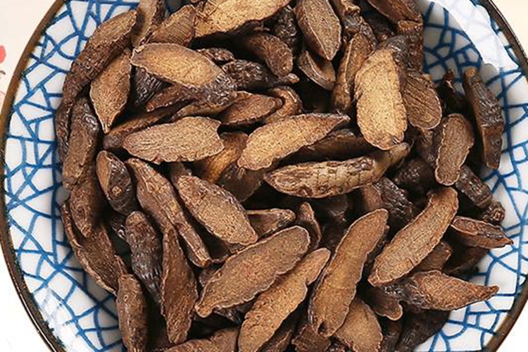 醋香附图 醋香附图