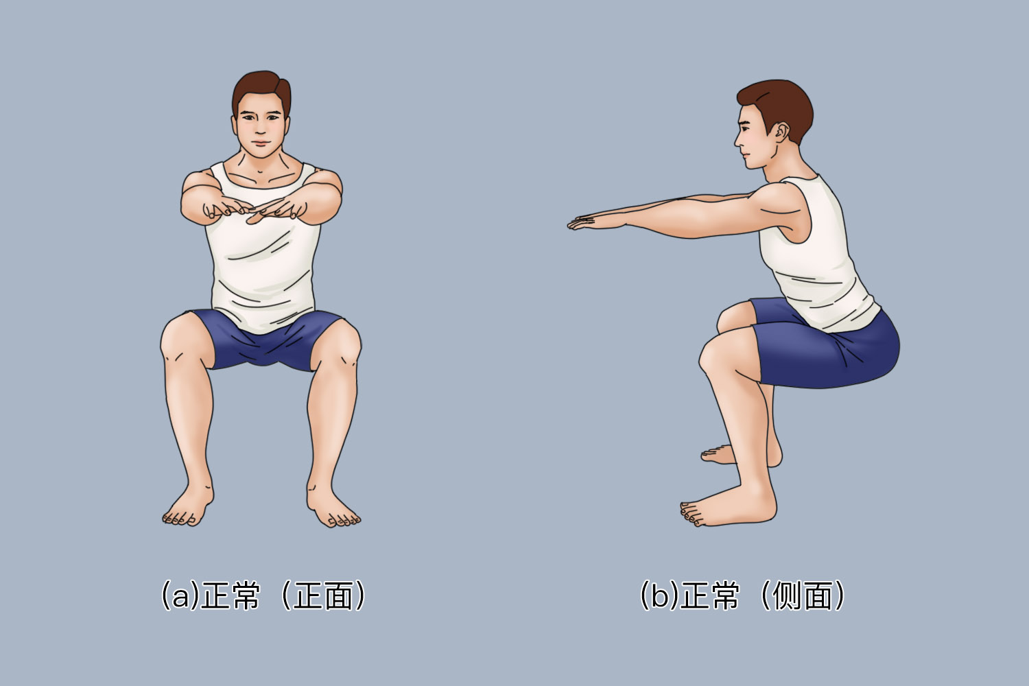 正确深蹲图