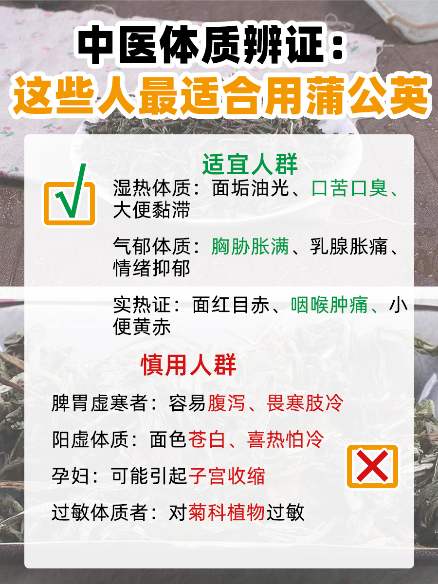 蒲公英的这些功效与作用！看完涨知识