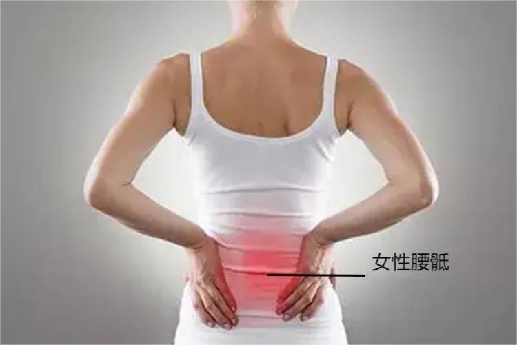 妇科病腰骶部疼痛图