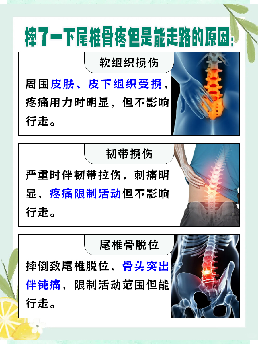 共同讨论，摔了一下尾椎骨疼但是能走路是怎么了