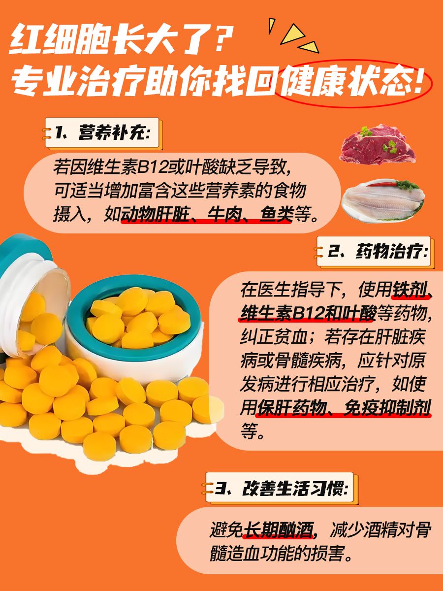 红细胞平均体积升高，是身体在向你求救吗？