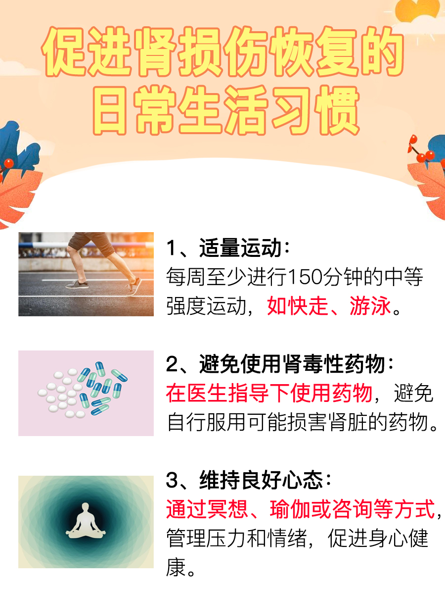 了解肾损伤：能否恢复？