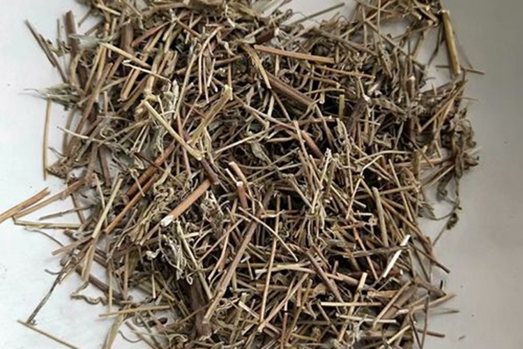 香薷药材图 香薷药材图