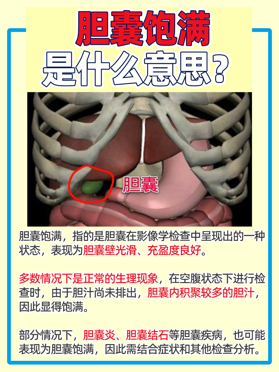 胆囊饱满何意？正常现象or疾病信号？