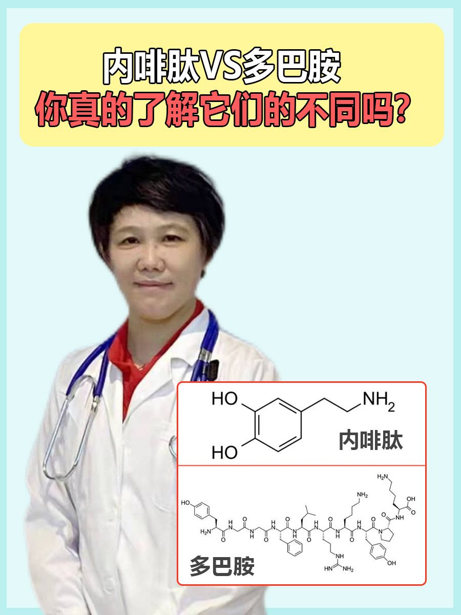 内啡肽VS多巴胺,你真的了解它们的不同吗?