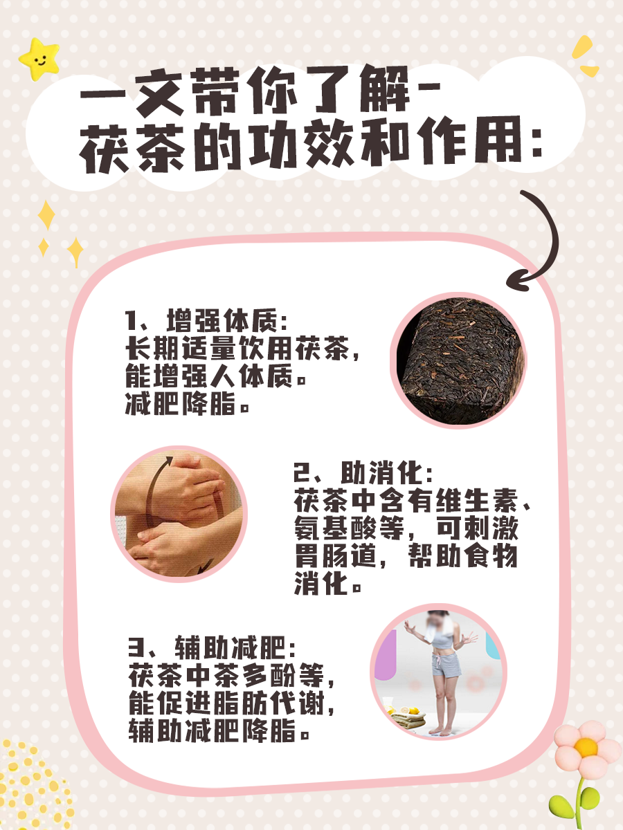 一文带你了解-茯茶的功效和作用