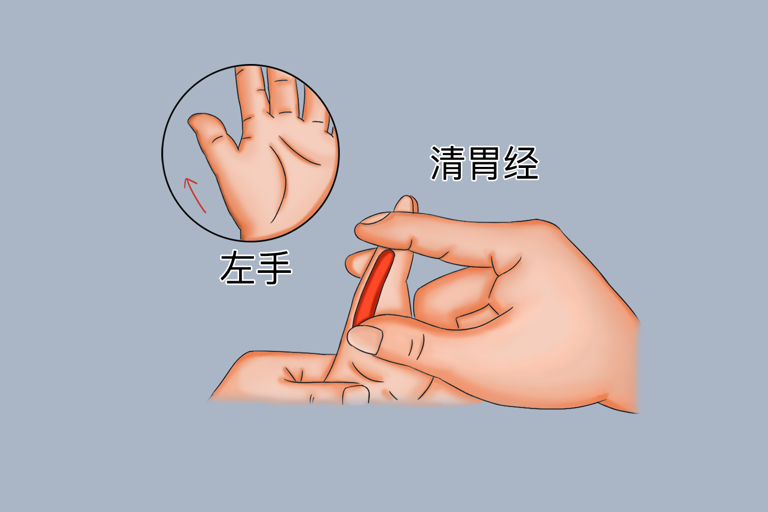 补脾推拿准确位置图图片